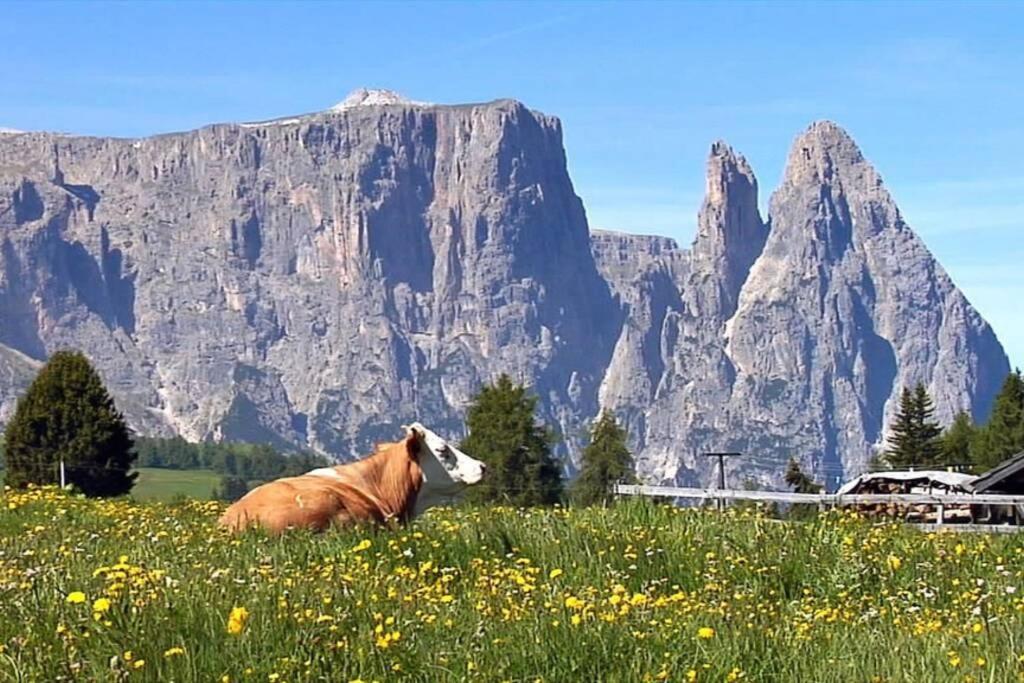 Fantastico Monolocale In Siusi Sciliar Appartement Buitenkant foto