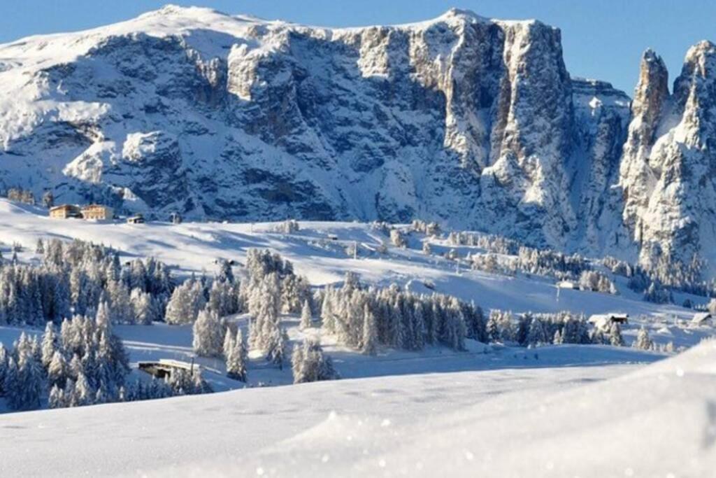Fantastico Monolocale In Siusi Sciliar Appartement Buitenkant foto